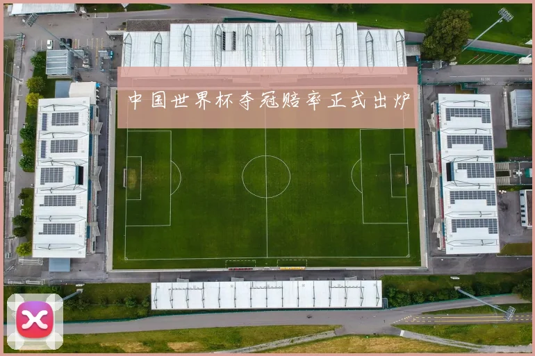 中国世界杯夺冠赔率正式出炉