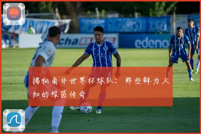 揭秘南非世界杯球队：那些鲜为人知的绿茵传奇
