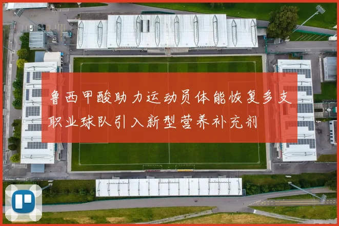 鲁西甲酸助力运动员体能恢复多支职业球队引入新型营养补充剂