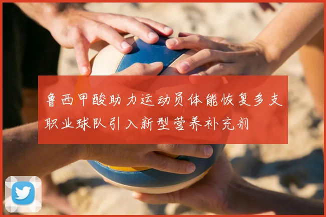 鲁西甲酸助力运动员体能恢复多支职业球队引入新型营养补充剂