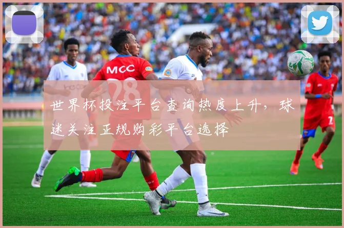 世界杯投注平台查询热度上升，球迷关注正规购彩平台选择