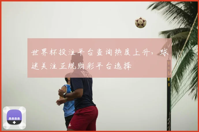 世界杯投注平台查询热度上升，球迷关注正规购彩平台选择