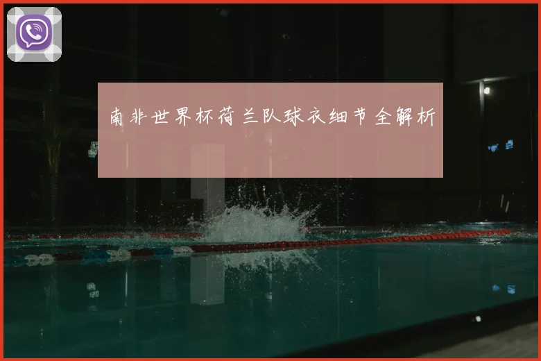 南非世界杯荷兰队球衣细节全解析